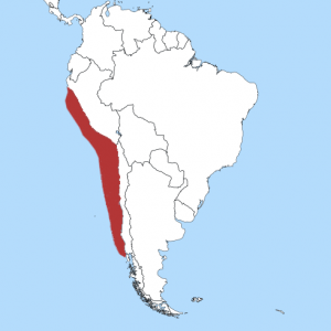 Mapa con la distribución del pingüino de Humboldt.