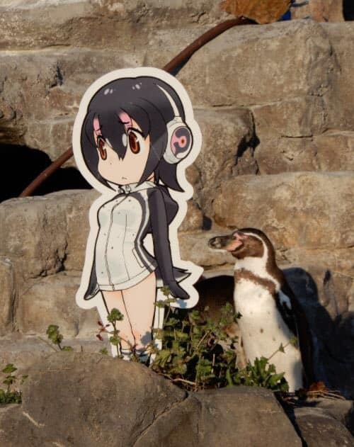 Pingüino enamorado de anime.
