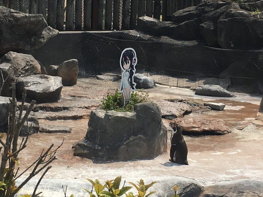 Pingüino otaku